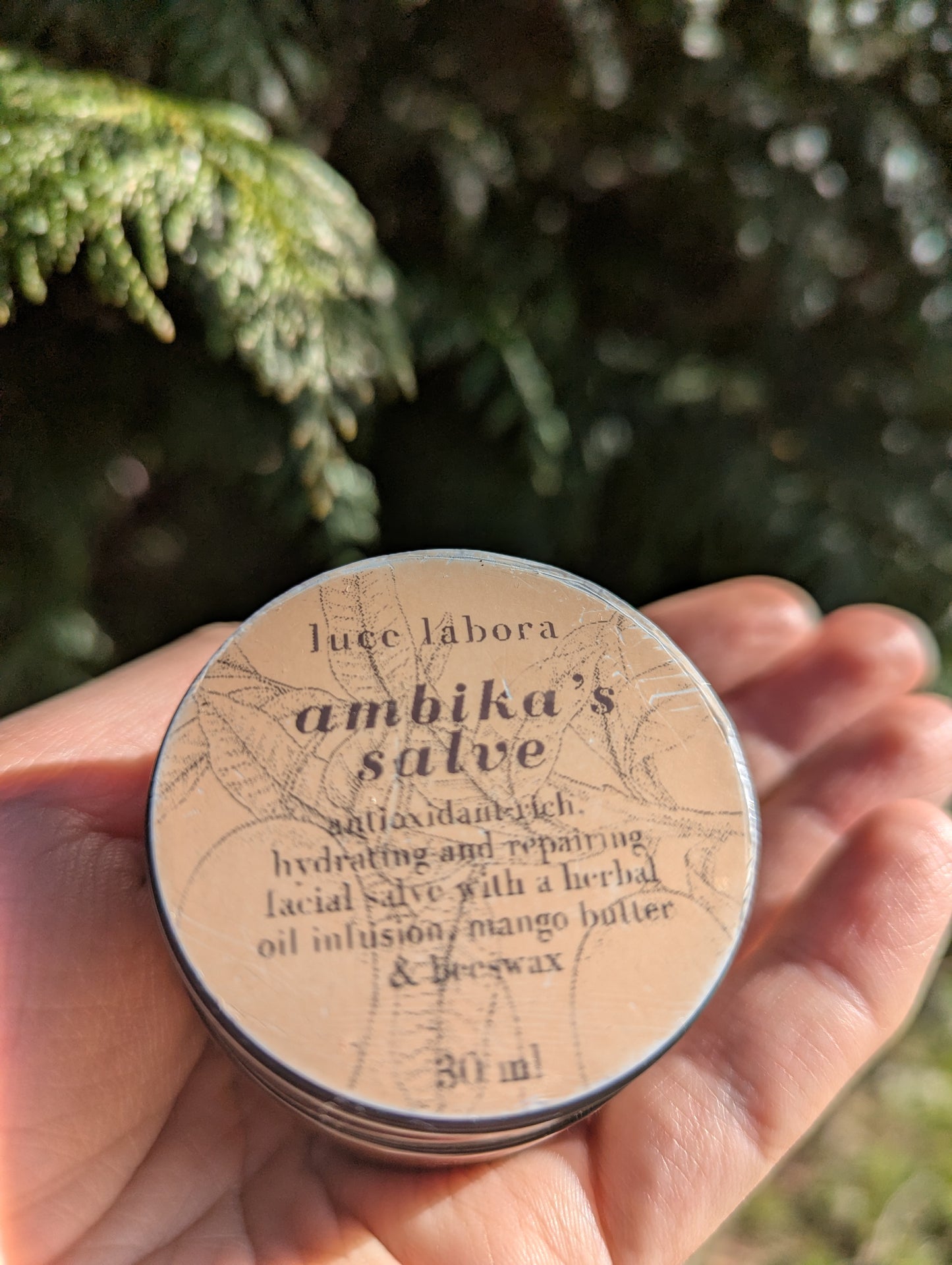 ambika's salve | mango butter healing balm