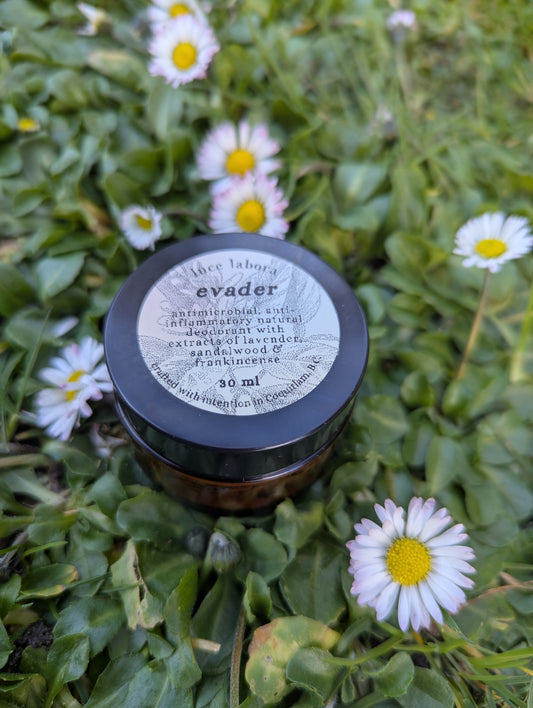 evader | natural deodorant