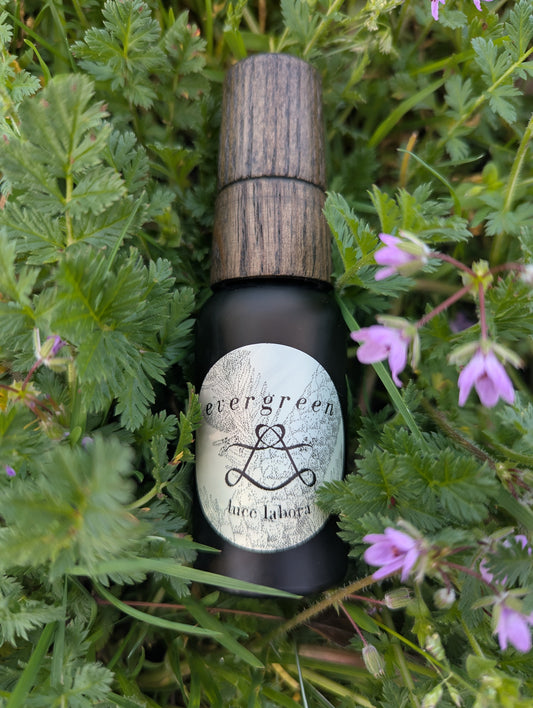 evergreen | 10 ml & 30 ml botanical cologne