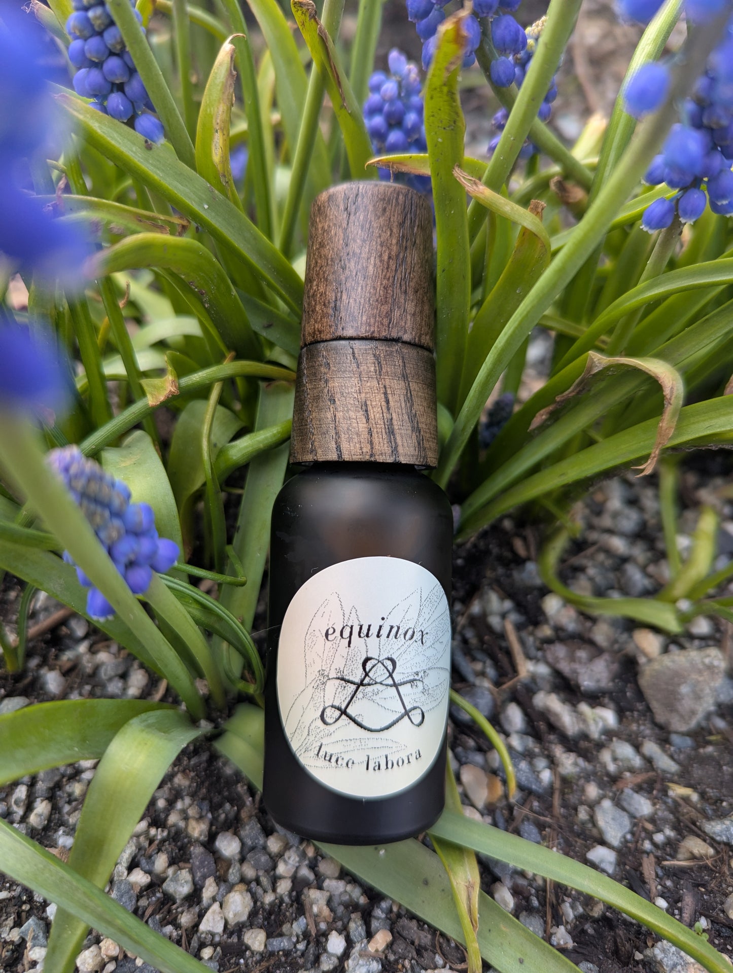 equinox | 10 ml & 30 ml botanical perfume