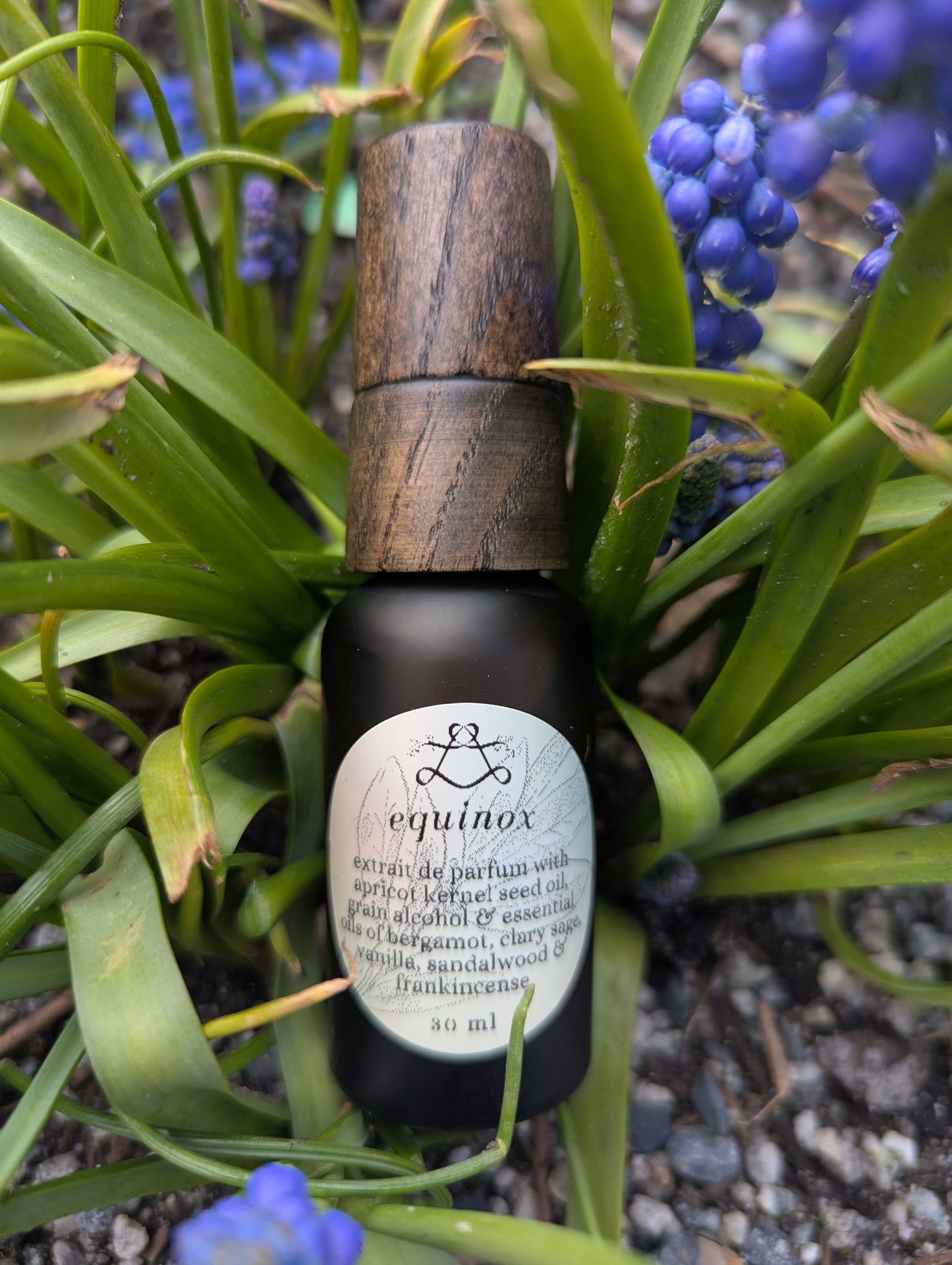 equinox | 10 ml & 30 ml botanical perfume