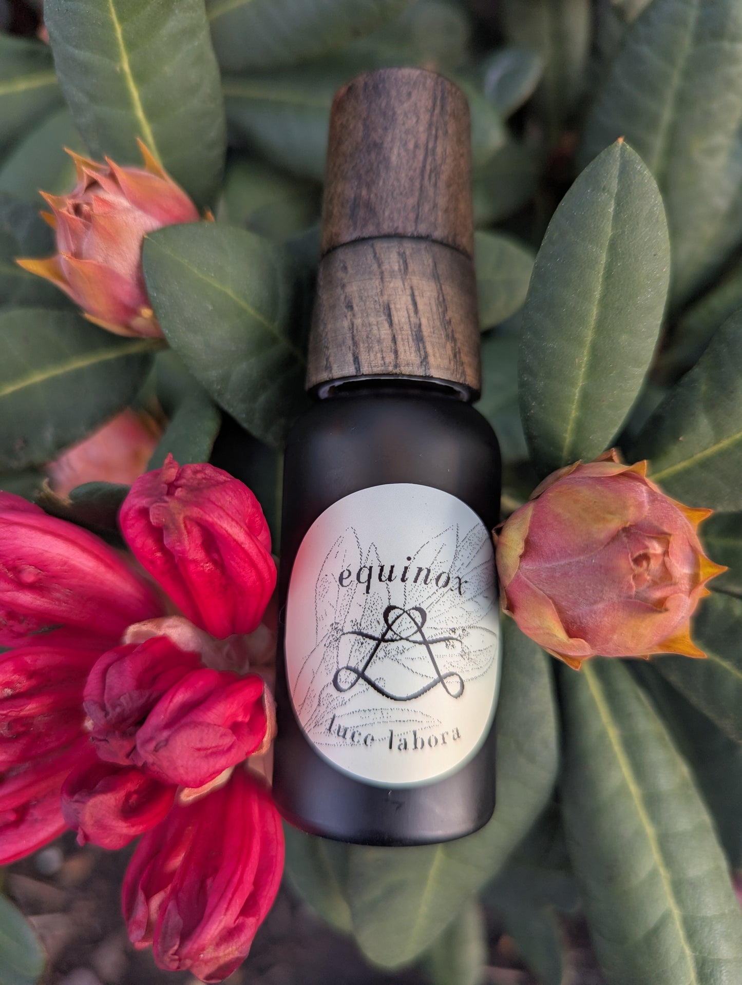 equinox | 10 ml & 30 ml botanical perfume